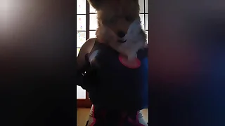 BustyFox Huge Turn Boobs bill